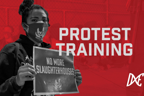 480_get_trained-_preparing_for_protests__1.jpg