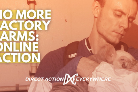480_nomorefactoryfarms_1.jpg