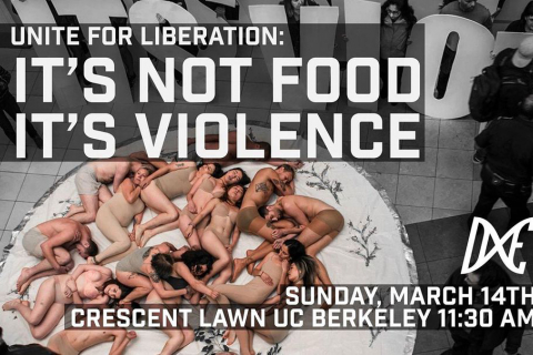 480_uniteforliberation-notfood-violence_1.jpg