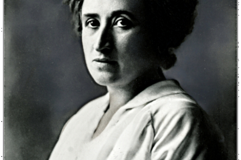 480_rosa_luxemburg.jpg