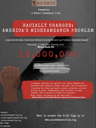 Racially Charged: America's Misdemeanor Problem