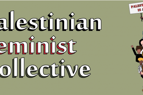 480_palestinianfeminists.jpg