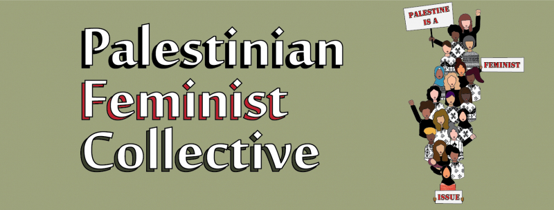 sm_palestinianfeminists.jpg 