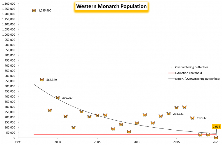 sm_rswestern_monarch_population_2021_center_fpwc-hpr.jpg 