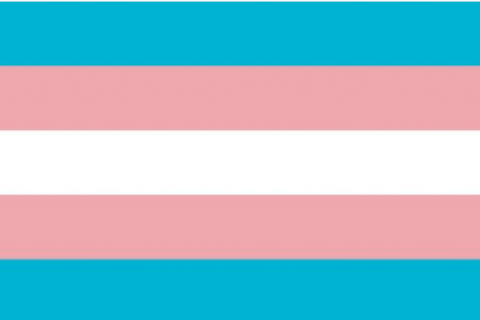 480_screenshot_2021-03-24_after_dark_online_transgender_day_of_visibility_exploratorium.jpg