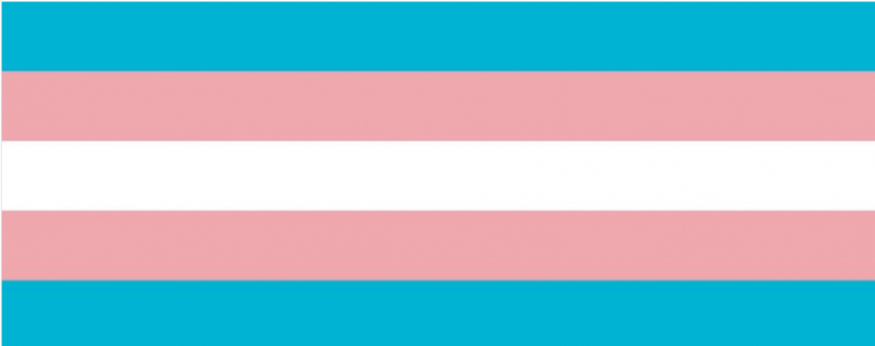 sm_screenshot_2021-03-24_after_dark_online_transgender_day_of_visibility_exploratorium.jpg 