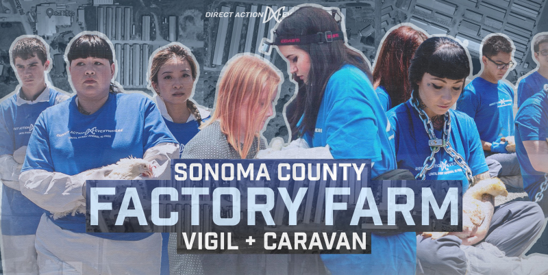 sm_sonoma_county_factory_farm_vigil_april_2021.jpg 
