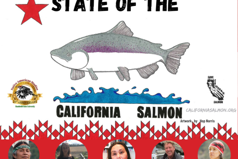 480_state_of_the_salmon.jpg 