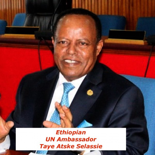 sm_5-ethiopian_ambassador_to_the_un.jpeg 