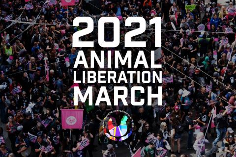 480_2021_animal_liberation_march_1.jpg