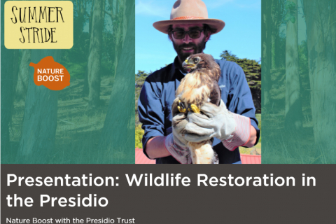 480_screenshot_2021-07-20_at_15-01-34_presentation_wildlife_restoration_in_the_presidio_san_francisco_public_library.jpg