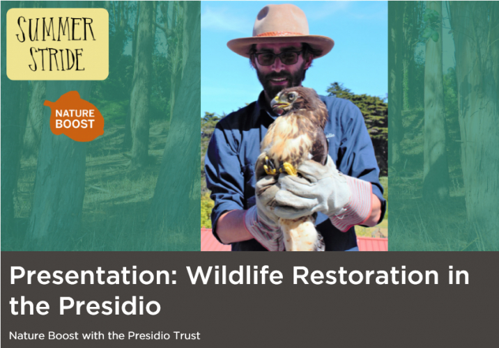 sm_screenshot_2021-07-20_at_15-01-34_presentation_wildlife_restoration_in_the_presidio_san_francisco_public_library.jpg 