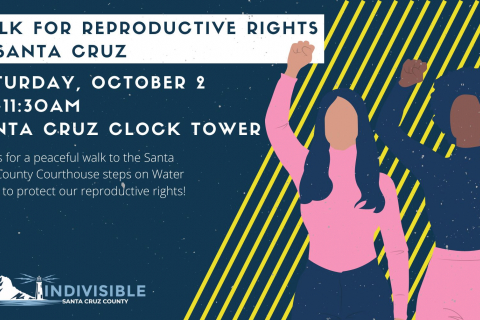 480_walk_for_reproductive_rights_in_santa_cruz_county_october_2_2021_1.jpg