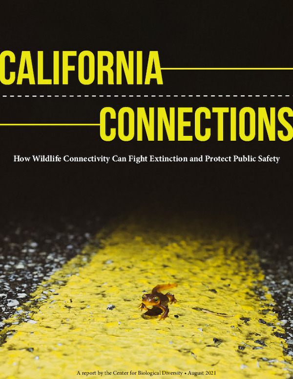 california-connections-wildlife-connectivity-report.pdf_600_.jpg