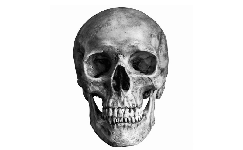 sm_skull.jpg