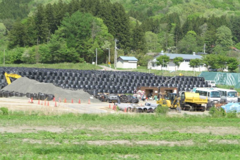 480_fukushima_bags_of_radioactive_waste_in_field.jpg