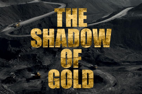 480_shadow_of_gold_1.jpg