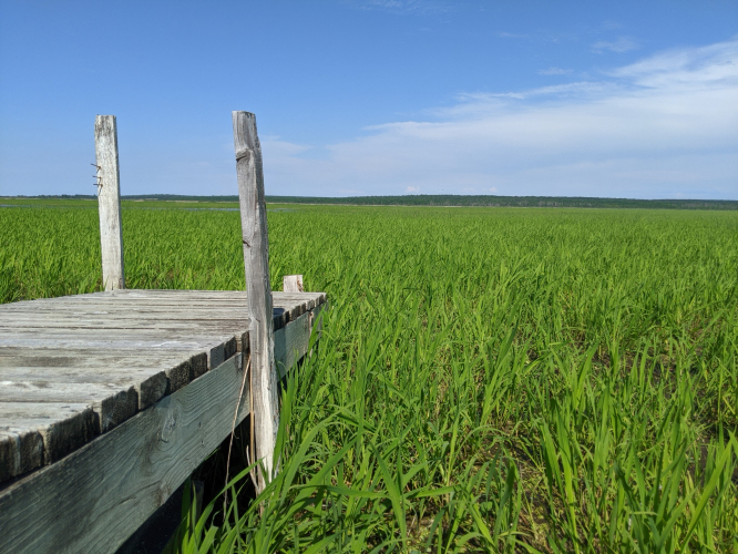 sm_rice_20210629_213223157_1.jpg 
