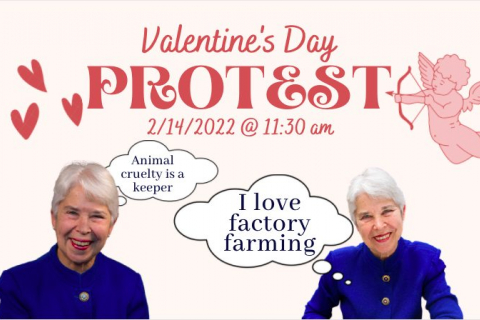 valentines_day_protest.jpg
