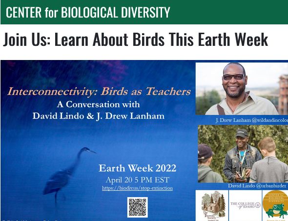 screenshot_2022-04-16_at_07-07-36_join_us_learn_about_birds_this_earth_week.png 