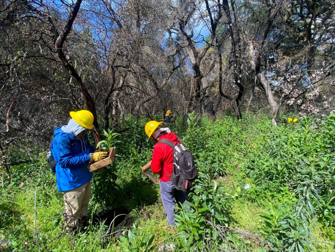 sm_eco-archaeology_and_environmental_stewardship_in_the_santa_cruz_mountains.jpg 