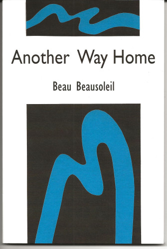 sm_anaother_way_home_-_front_cover.jpg 