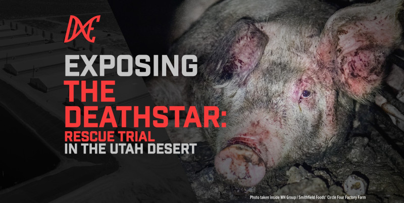 sm_exposing_the_deathstar-_rescue_trial_in_the_utah_desert_.jpeg 