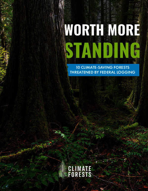 climate_forests_-_worth_more_standing.pdf_600_.jpg