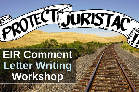 480_protect_juristac_eir_comment_writing_workshop_1.jpg 