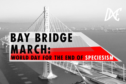 Saturday 8/27: Bay Bridge March: World Day for the End of Speciesism