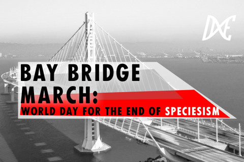 480_bay_bridge_march-_world_day_for_the_end_of_speciesism__1.jpeg 