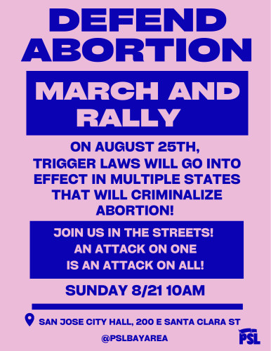 sm_abortion_flyer.jpg 
