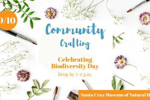 480_community_crafting_celebrating_biodiversity_day_1.jpg 