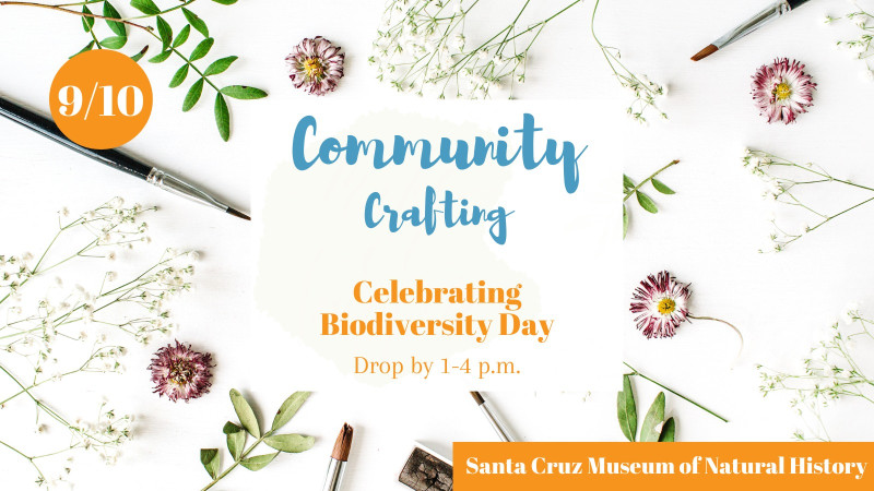 sm_community_crafting_celebrating_biodiversity_day.jpg 