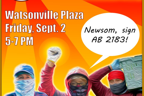 480_watsonville_solidarity_vigil_for_farm_worker_bill_ab_2183_1.jpg