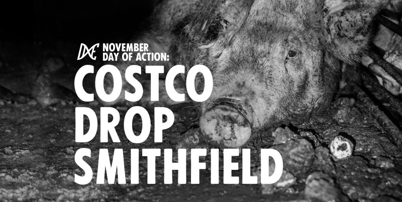 sm_november_day_of_action-_costco_drop_smithfield.jpeg 