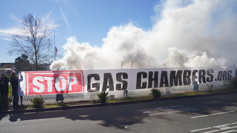 sm_dxe_bannerandsmokeflares2.jpeg 