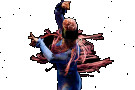 135_flamenco_alas8_stefancohen_web.jpeg 