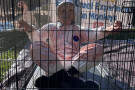 135_dxe_ucdavis-primates1-protestordressedasmonkeyinacage.jpeg 