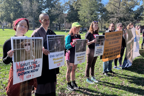 480_dxe_ucdavis-primates3-protestorsholdingsigns.jpeg 