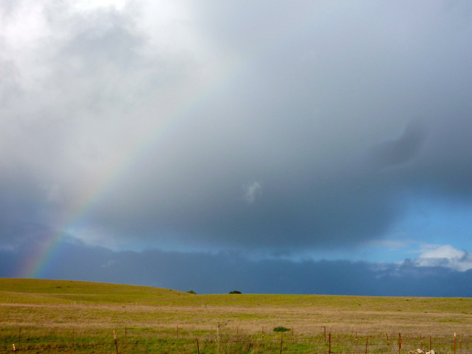 sm_east_meadow_uc_santa_cruz.jpg 