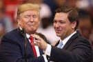 trump_desantis.jpg