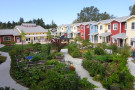 135_petaluma-ave-homes-cohousing.jpg
