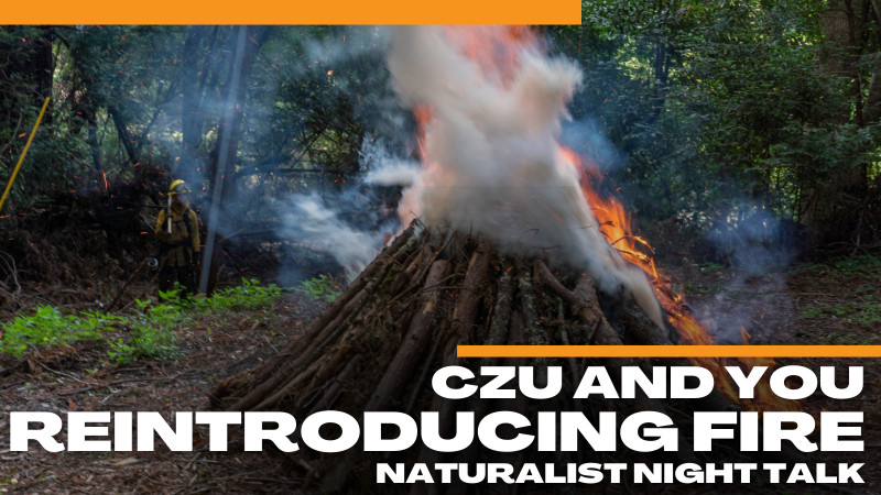sm_naturalist-night-reintroducing-fire.jpg 