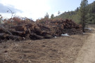 135_logsstacked.jpeg 