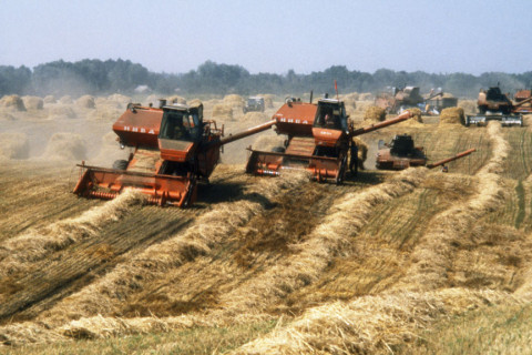 480_ukraine_farm_g_w.jpg