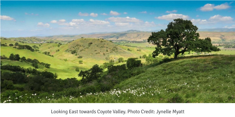 sm_tell_san_jose_don___t_roll_back_coyote_valley___s_protection_-_green_foothills.jpg 
