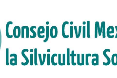 ___mex_consejo_civil.png