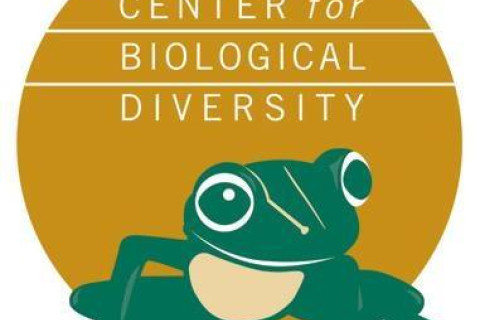 center_for_biological_diversity.jpg