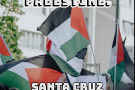 135_solidarity_rally_for_palestine_santa_cruz.jpg